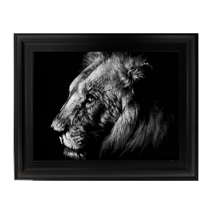 AN025 Wildlife Scratchboards I
