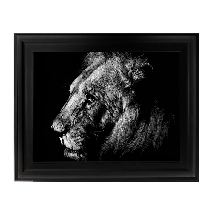 AN025 Wildlife Scratchboards I