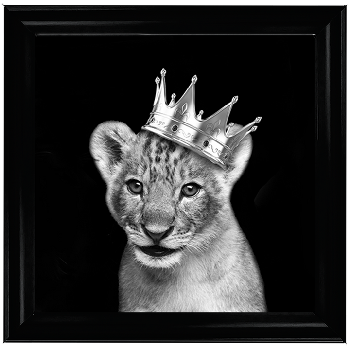 Prince Cub Silver