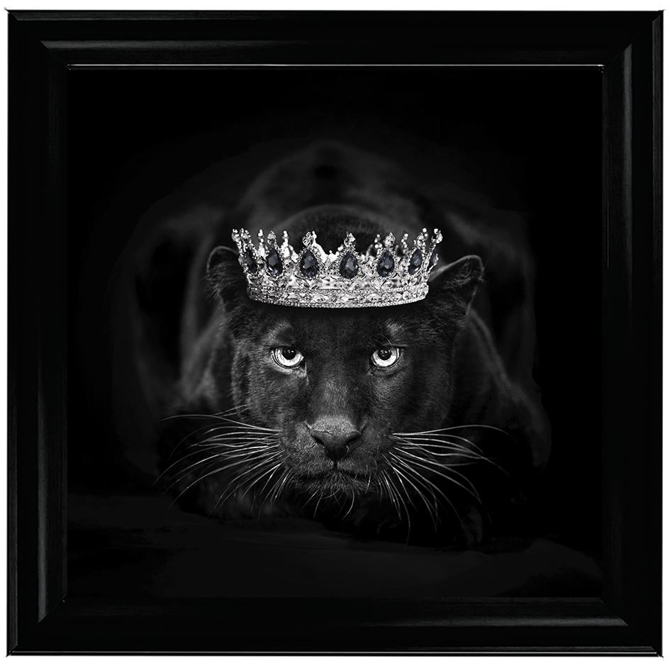 Royal Jaguar
