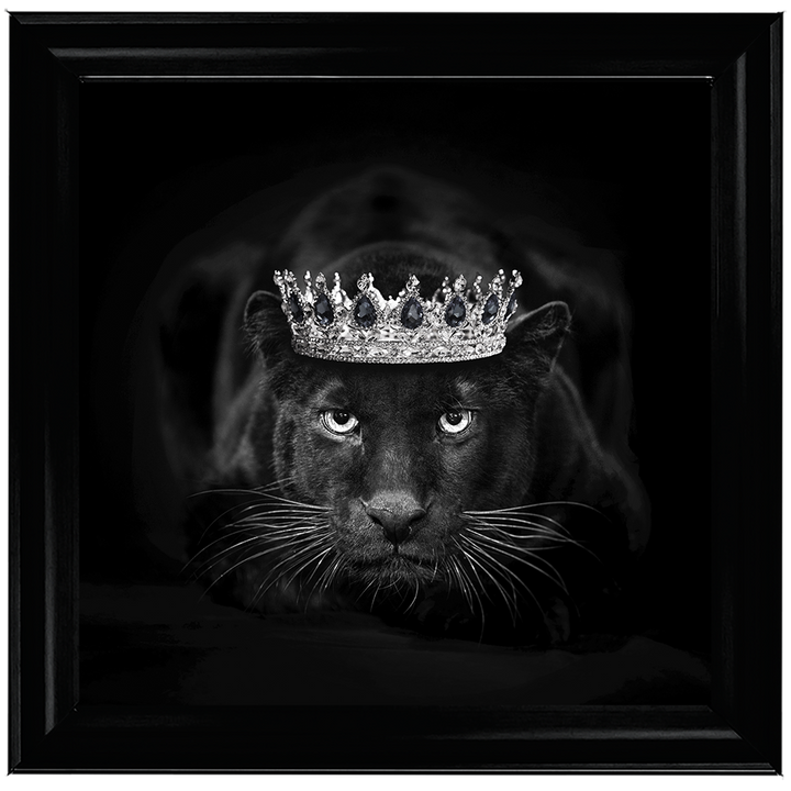 Royal Jaguar