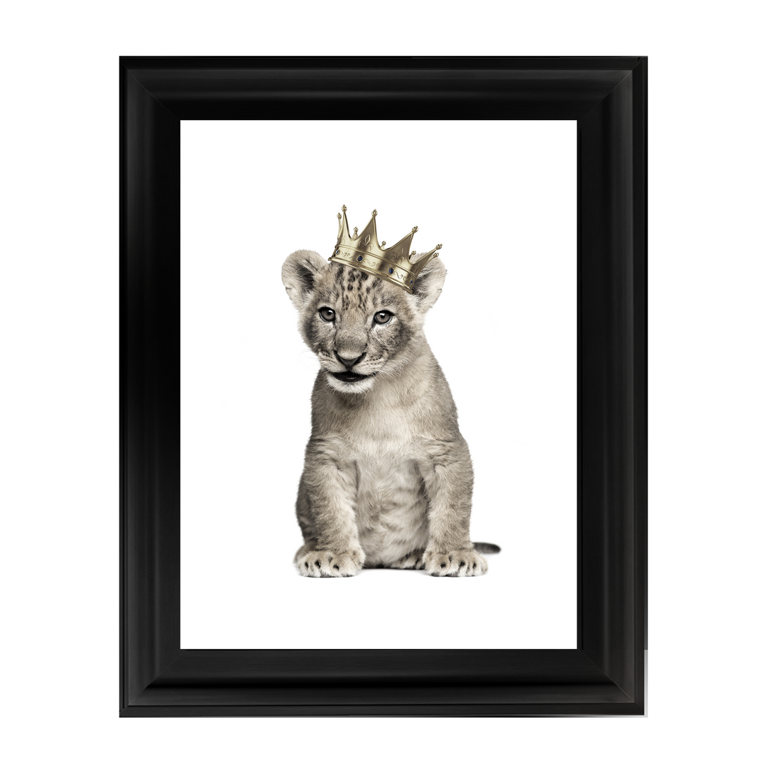 Princess Cub I