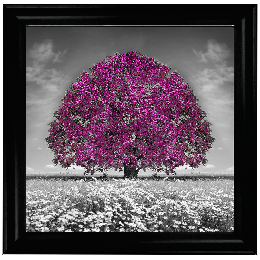 LS271 Purple Oak Tree