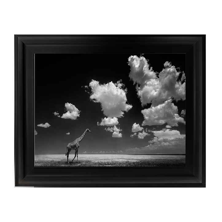 Ghizzi Panizza -Gone with the Clouds