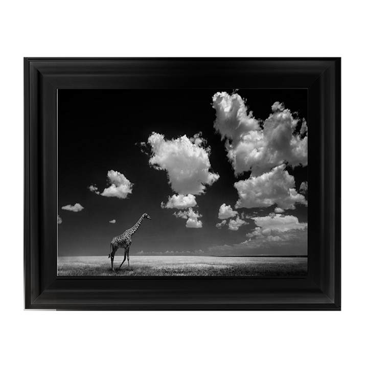 Ghizzi Panizza -Gone with the Clouds