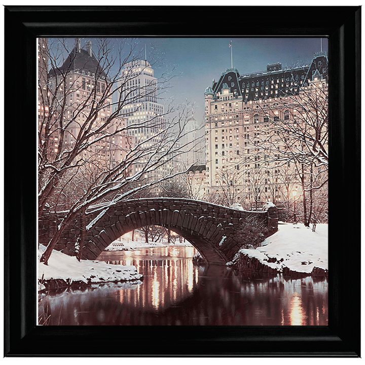 CY100 Gapstow Bridge in Winter, Central Park, New York