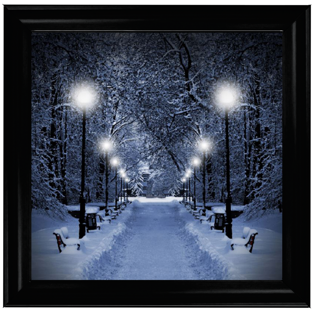 LS068 Wintery Park