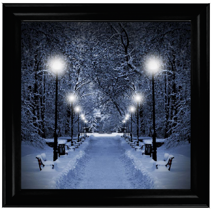 LS068 Wintery Park