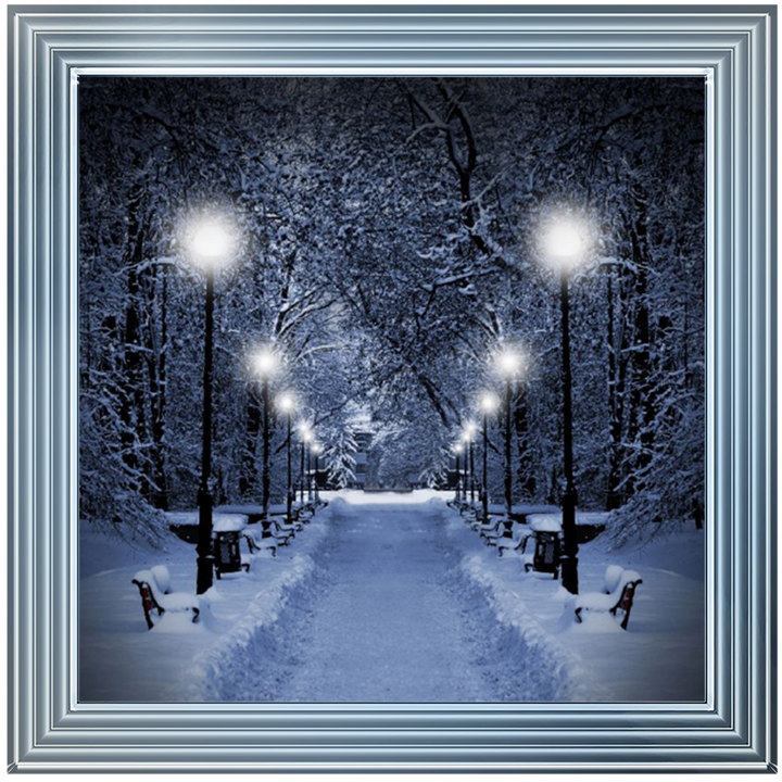 LS068 Wintery Park