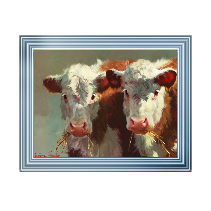 Cow Belles