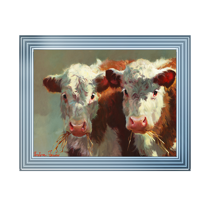 Cow Belles
