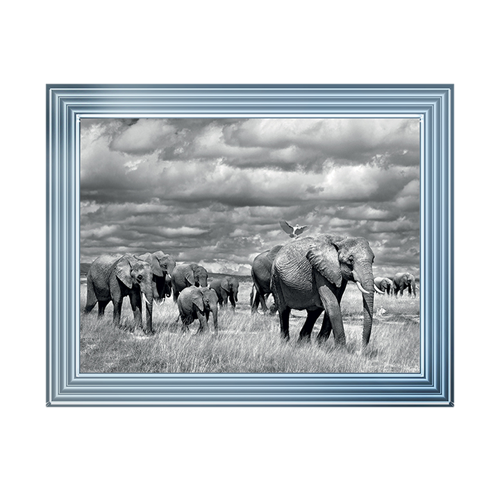 Elephants of Kenya