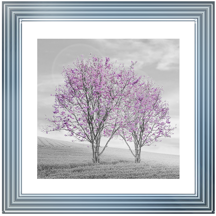 LS124 Purple Twin Trees