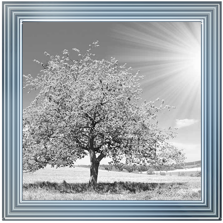 LS296 Black & White Lone Tree