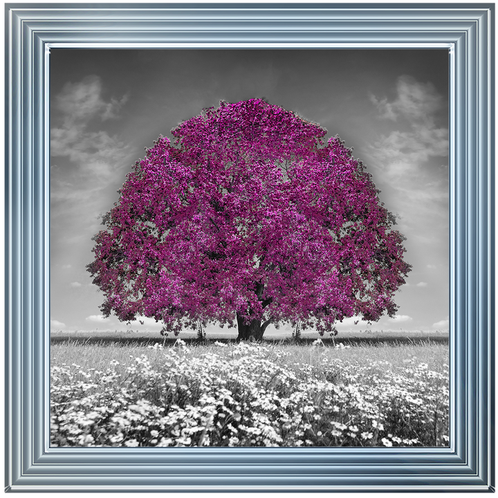 LS271 Purple Oak Tree