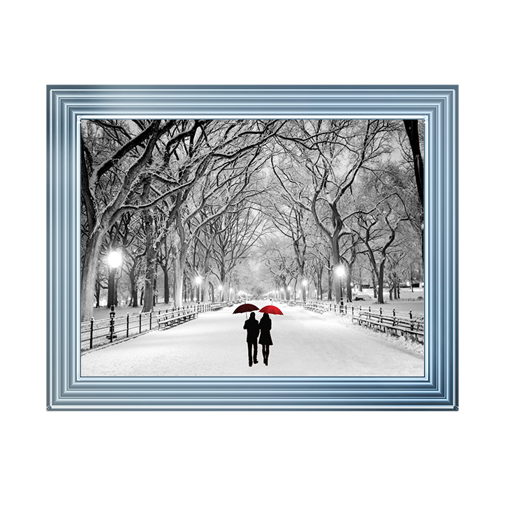 Walk through the snowy park