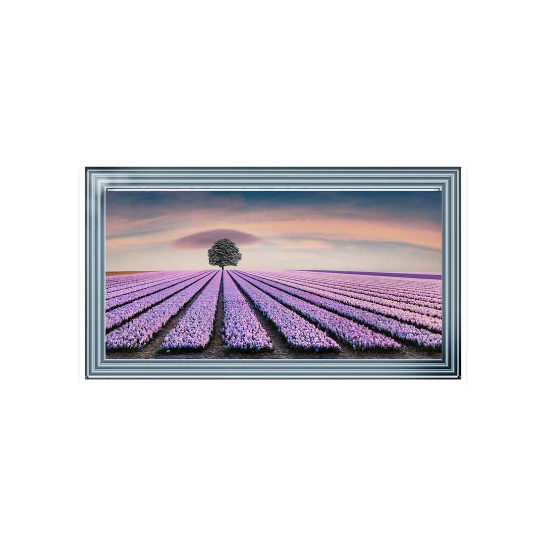 Purple Purple Field I