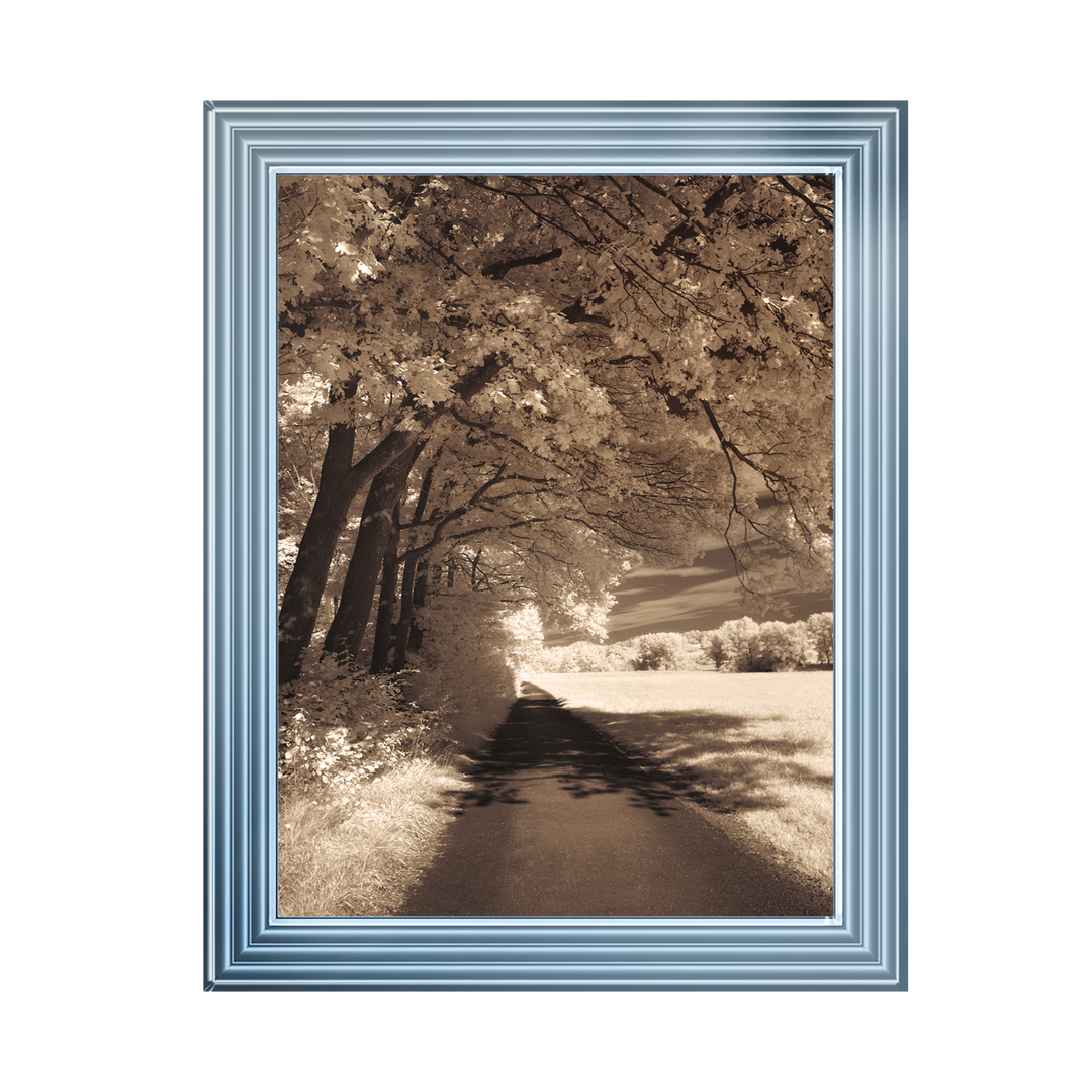 The Path Ahead