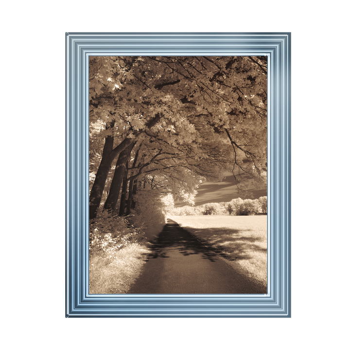 The Path Ahead