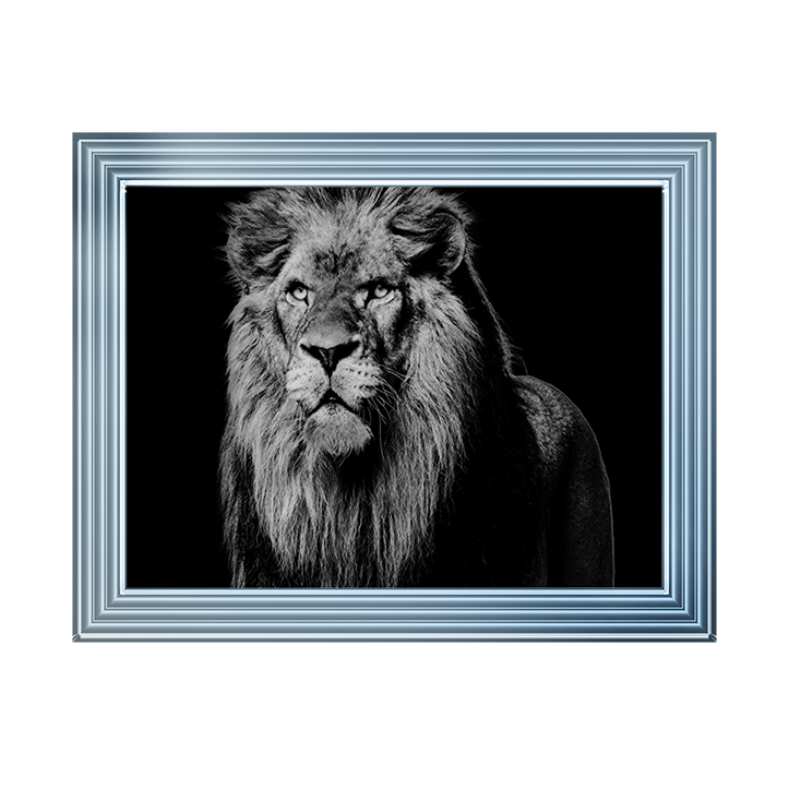 Dark Night Leo