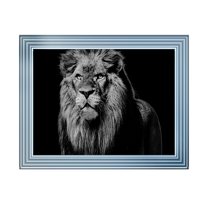 Dark Night Leo