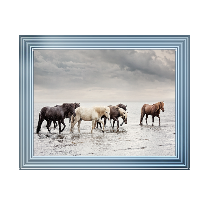 Water Horses IV
