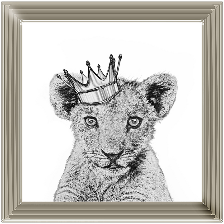Prince Cub