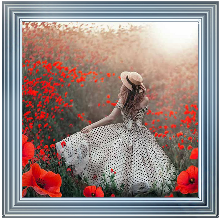 Stroll In A Field of Poppies