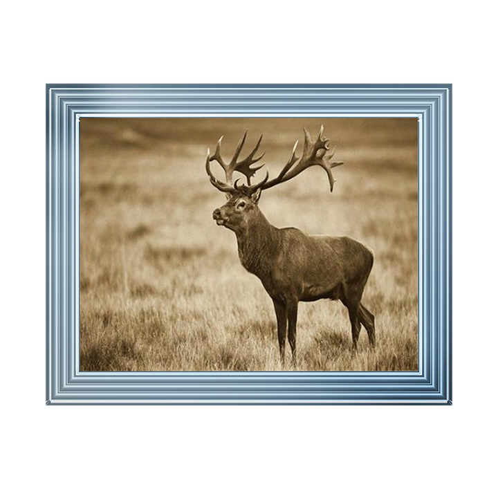 AN064 Red Deer stag, Cogenhagen, Denmark
