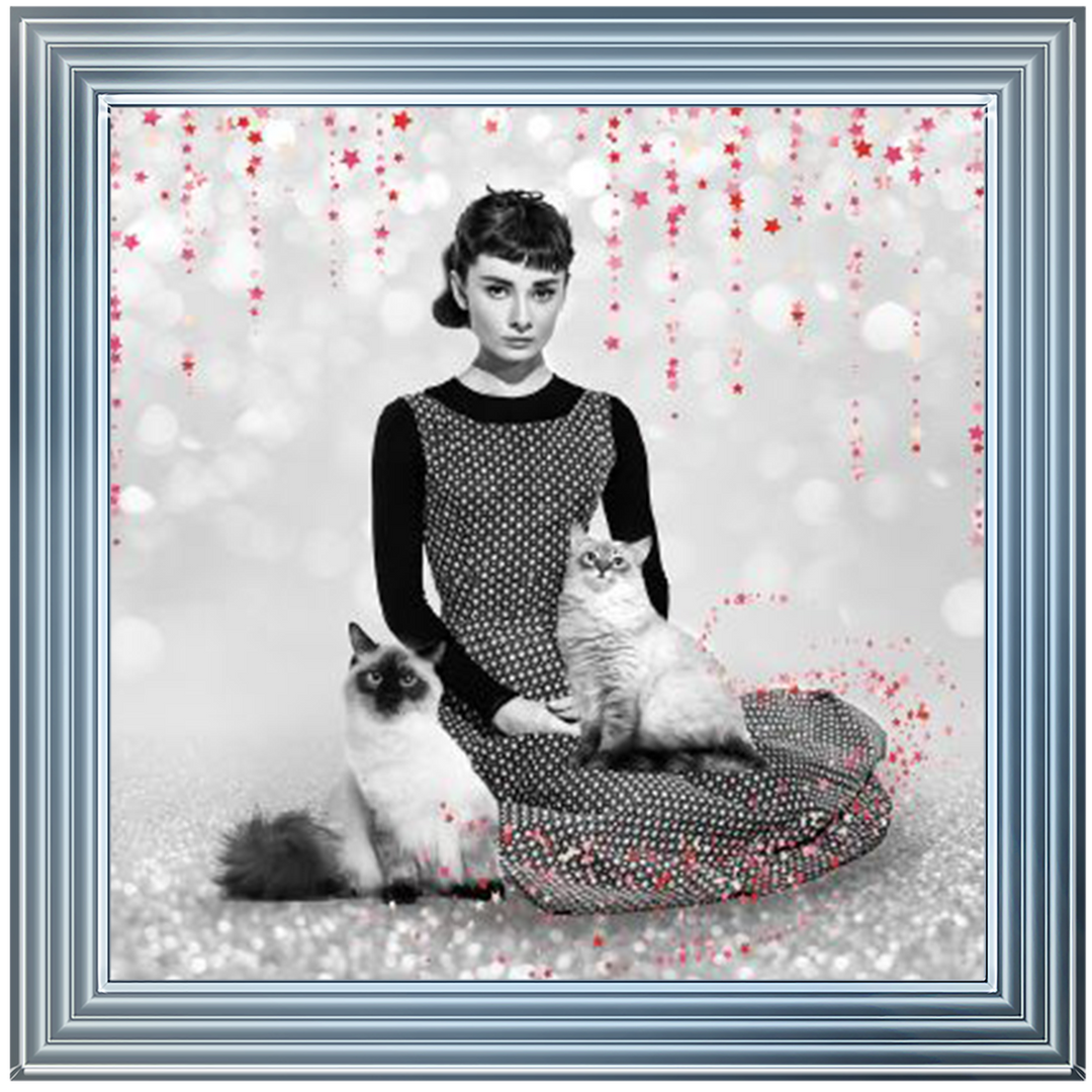 IC011 Audrey and cats