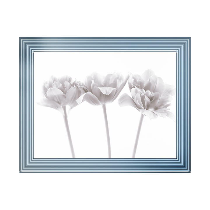 Set of 3 flowers