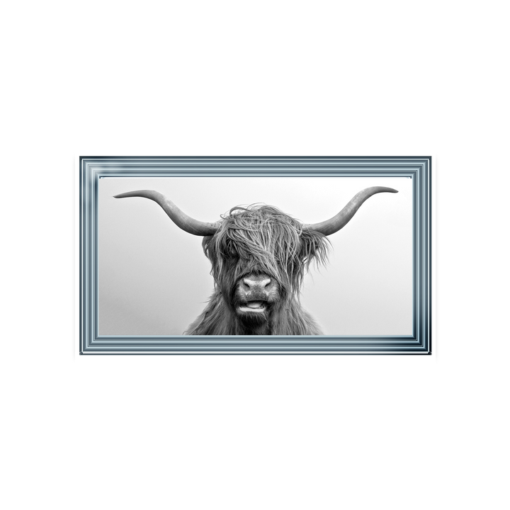 AN280 Highland Cow I