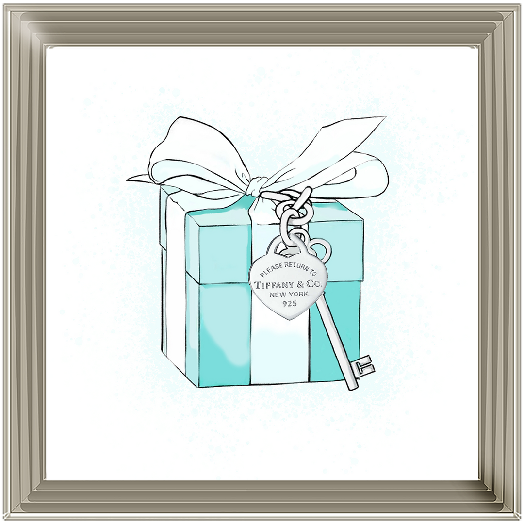FS617 Fashion Box