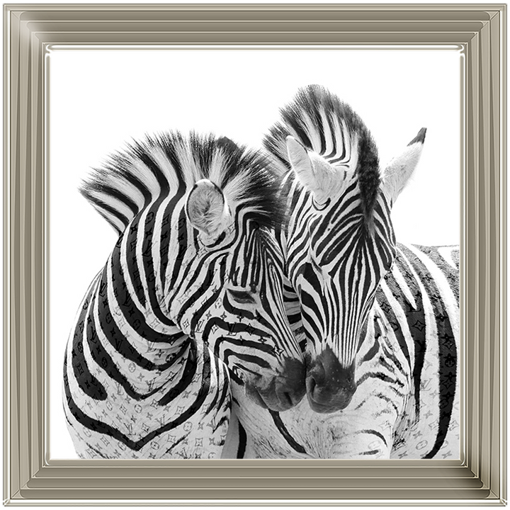 AN285 Zebra Love