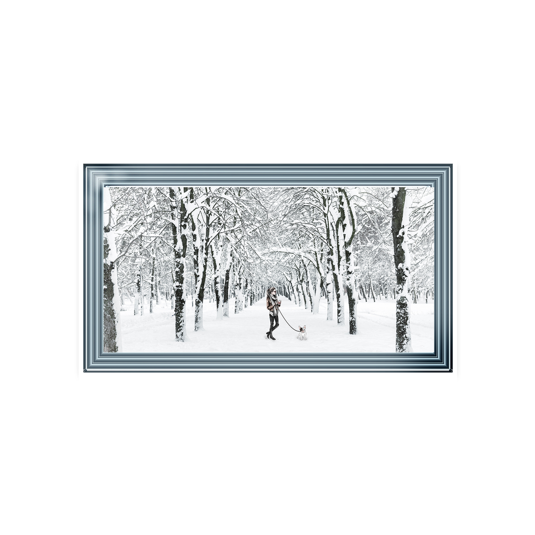 Winter Walk