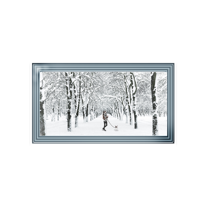 Winter Walk