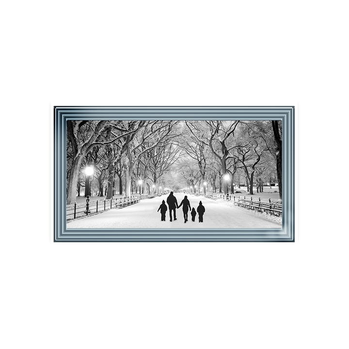 FG375  Family Walk