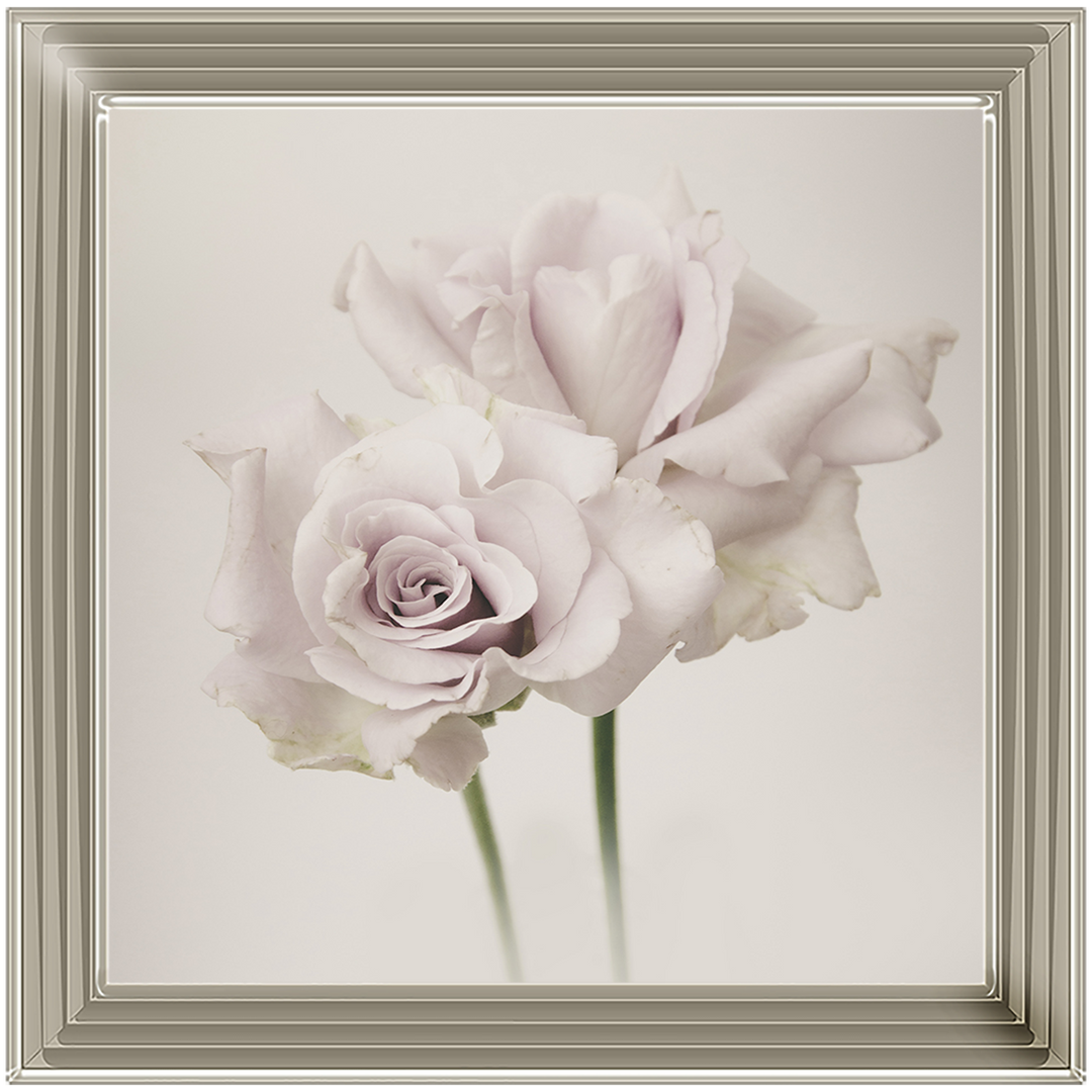 FL188 Flower Love
