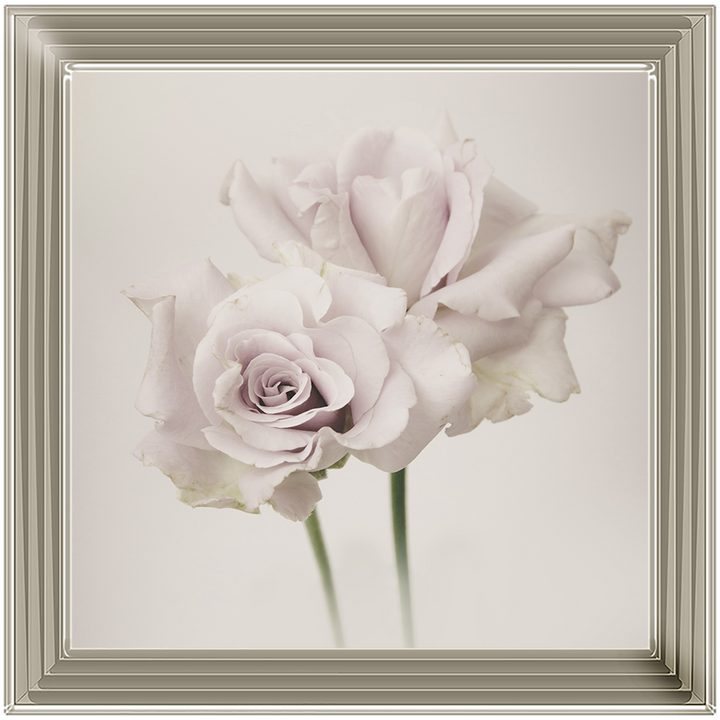 FL188 Flower Love