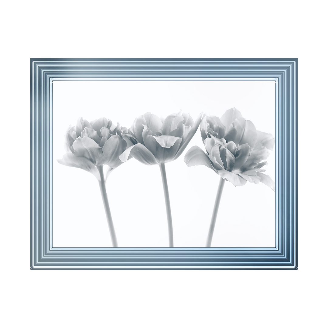 Set of 3 flowers II