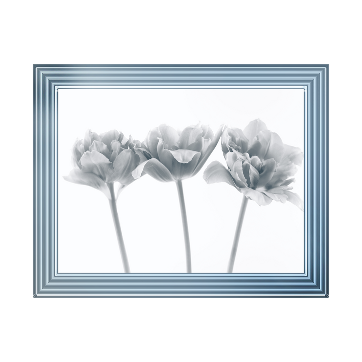 Set of 3 flowers II