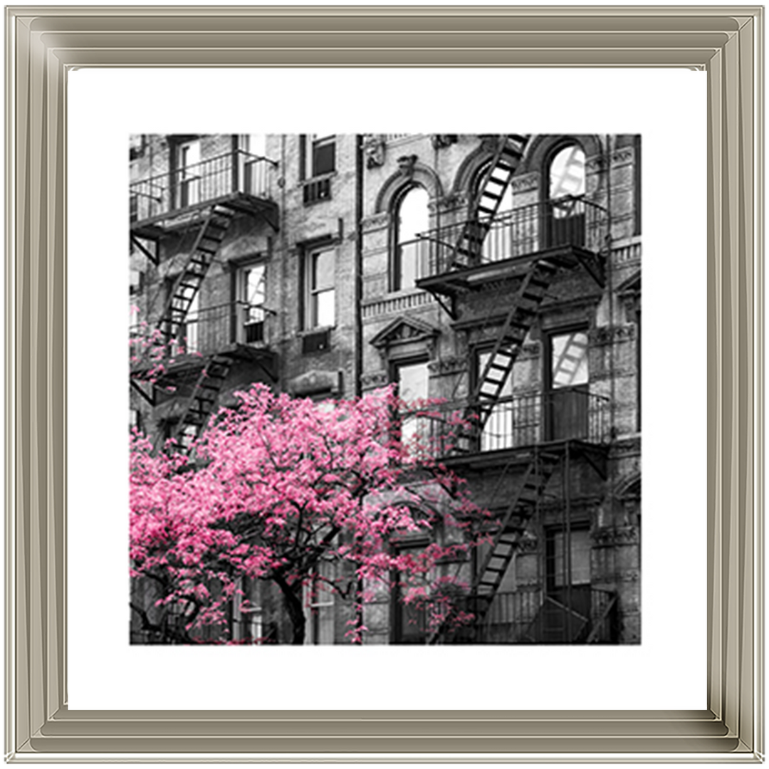 Pink City