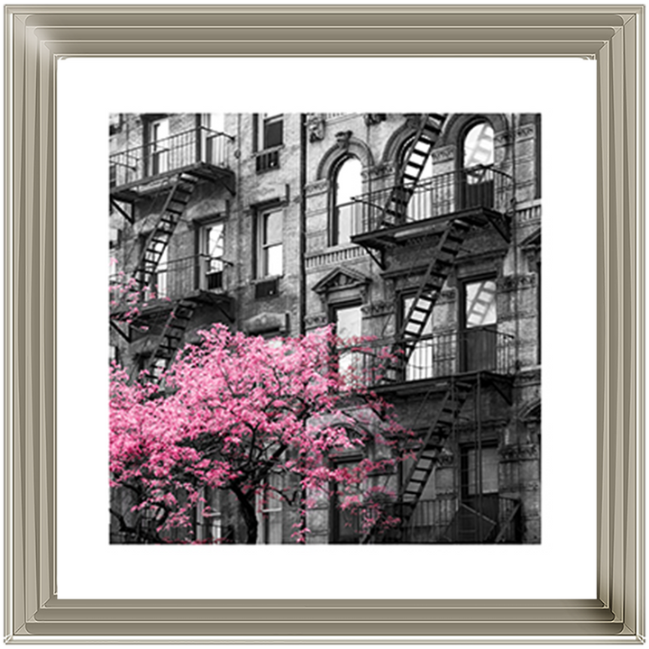 Pink City