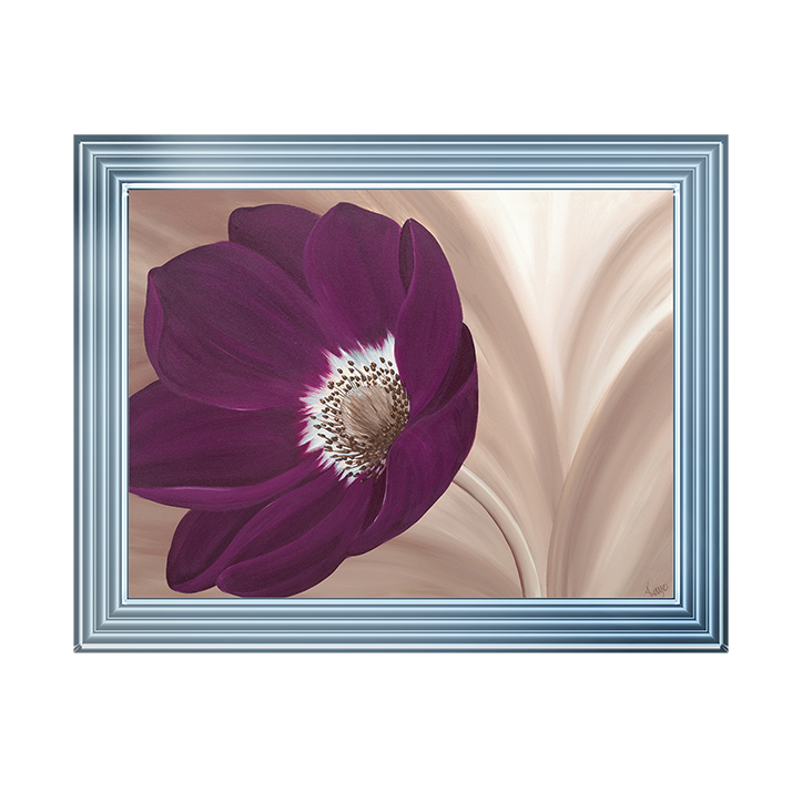 Velvet Anemone