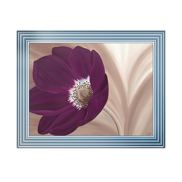Velvet Anemone