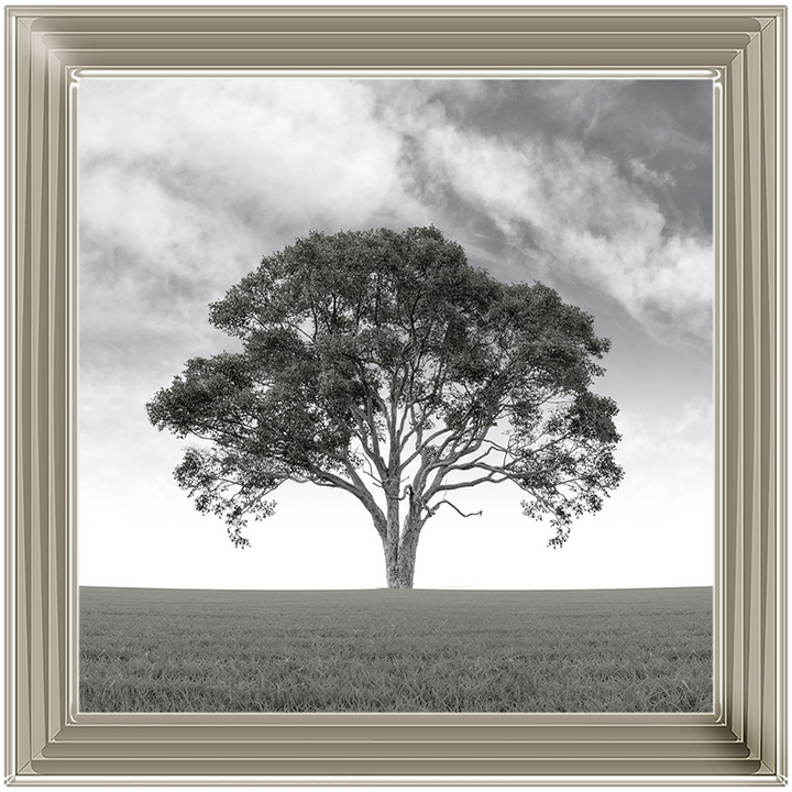 LS190 Lone Tree 1