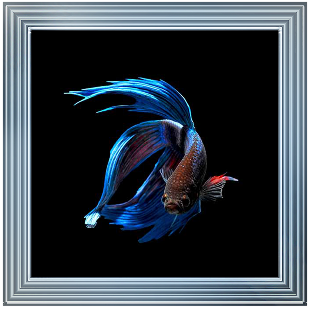 AN448 Blue & Red Betta Fish |