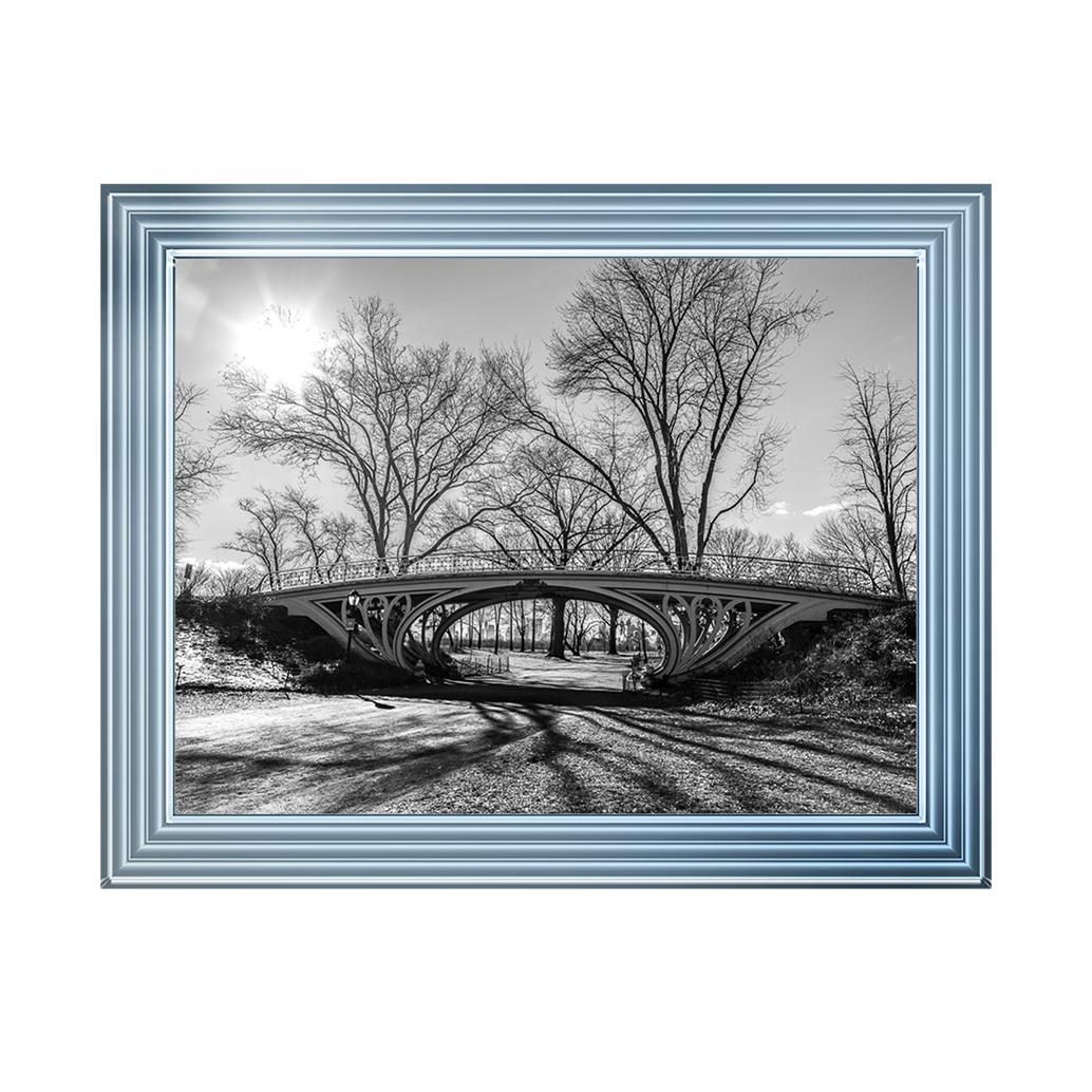 Walkway bridge in Central park, New York