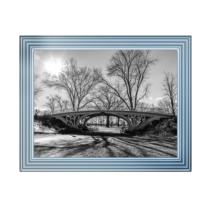 Walkway bridge in Central park, New York