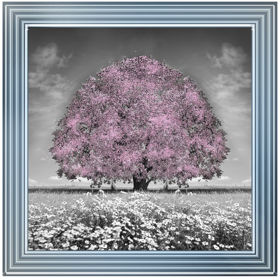LS275 Pink Oak Tree
